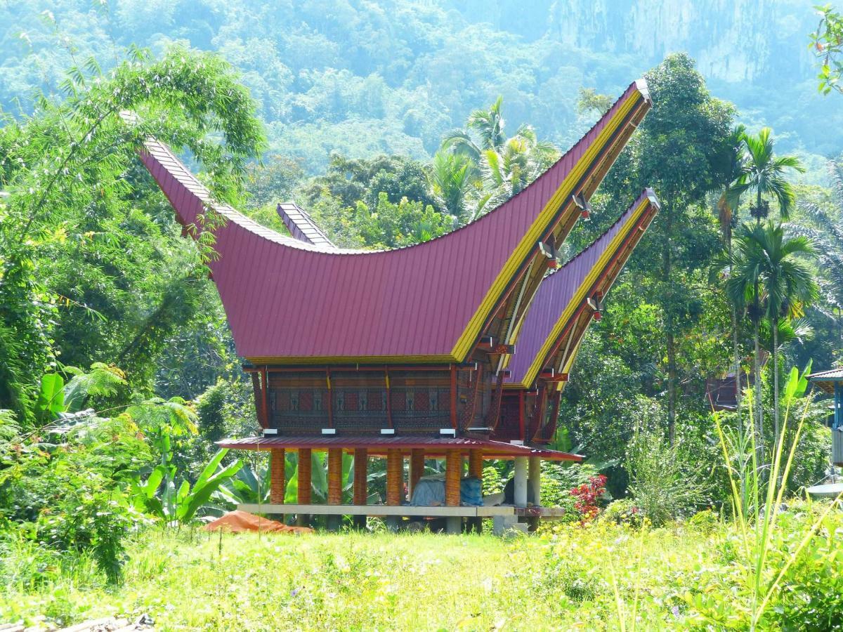 Toraja Torsina Hotel Rantepao Ngoại thất bức ảnh